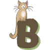 Lettre B du chat