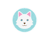 cute dog with white fur