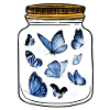 Butterflies Insects Zoology Insect