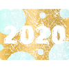 2020