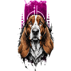 Fidèle compagnon : basset hound
