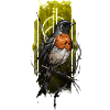 European Robin (Erithacus rubecula)