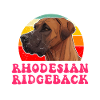 Ridgeback MERVEILLEUSE MAMAN RHODESIAN RIDGEBACK