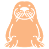 Walrus