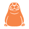 Walrus