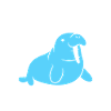 Animal humour Morse