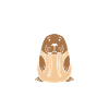 Animal humour Morse