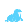 Animal humour Morse