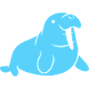 Walrus