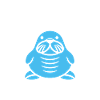 Animal humour Morse