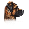 Leonberger Mom