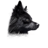 Schipperke Mama