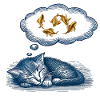 cat dream