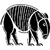 Tapir