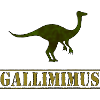 Gallimimus Dino