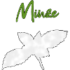 Mint Peppermint