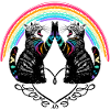 Cats Rainbow Love is Love Reflection