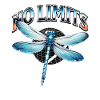 No Limits Dragonfly