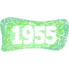 Scratch 1955