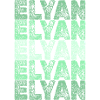 Par Elyan