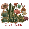 Desert Blossom Magic