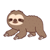 Cute Crawling Sloth