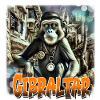 steampunked Gbraltar ape