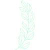 Wheat leaf
