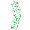 Wheat leaf