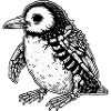 Undead Penguin