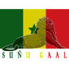 Suñu gaal