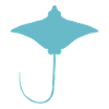 Ray – Flotteur élégant des mers