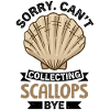 Seashell Shell Collector Scallop
