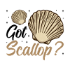 Seashell Shell Collector Scallop
