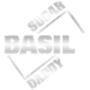 Basil : Sugar Daddy