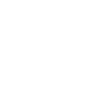 2009