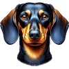 Basset