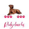 Ridgebacks DEVOTED TO RHODESIAN RIDGEBACKS