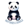 Panda Cuddle Moment