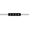 2024 year