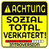 INTROVERTIERTE PERSON INTROVERSION IRONIE
