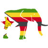 Zimbabwe Drapeau Pays Nationalité Zimbabwe