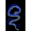 Serpent psychédélique