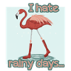 FLAMINGO- RAIN- RETRO