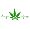 Kiffen Weed Ganja
