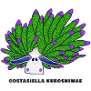 Leaf Sheep Snail, Drawing