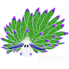 Leaf Sheep Snail, Drawing