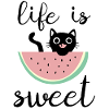 life is sweet cat with watermelon