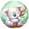 Koala heureux Koala Ours Koala