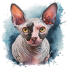 Sphynx Katze für Katzenliebhaber